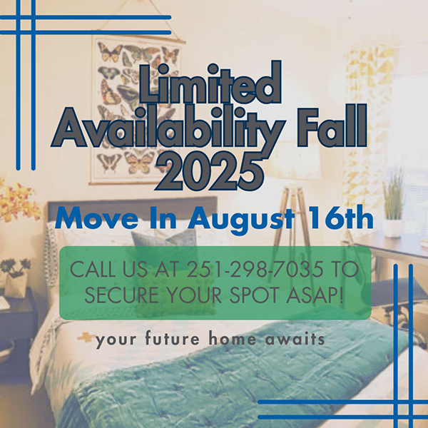 special pop up Availability fall 2025