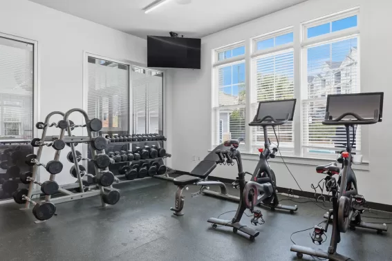 Community Gallery - 17